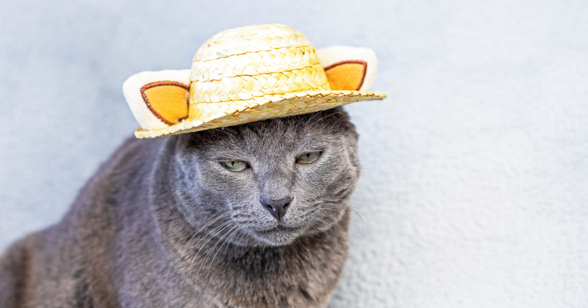 自己肯定感MAXなのに、なんだか生きづらい人