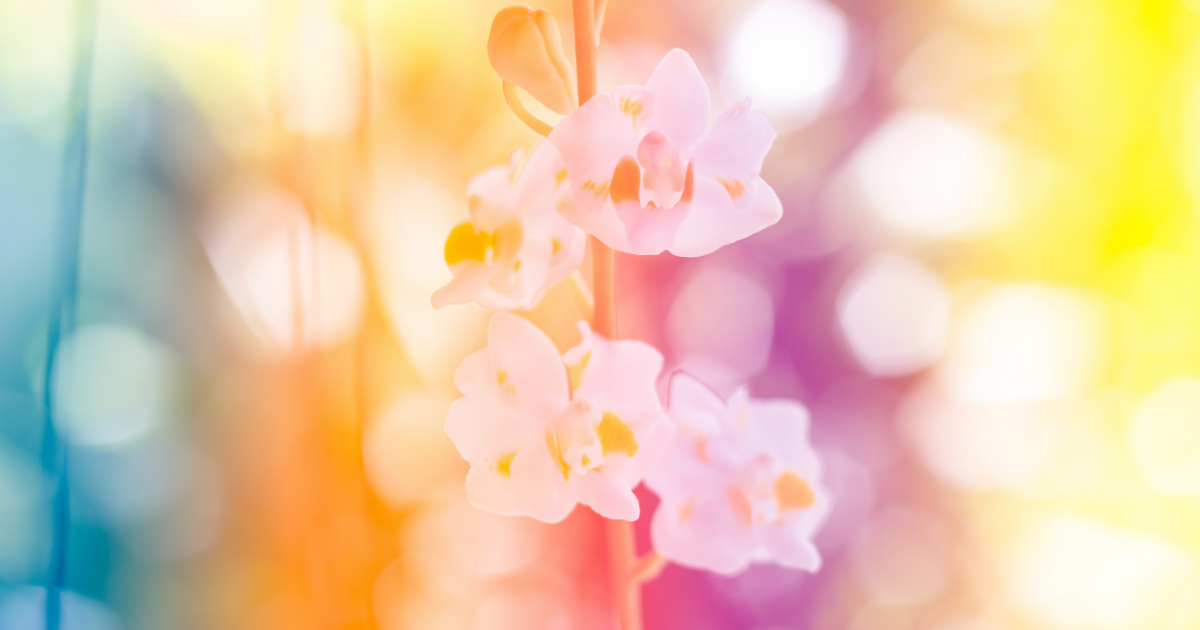 自分との会話を変えるだけでいい