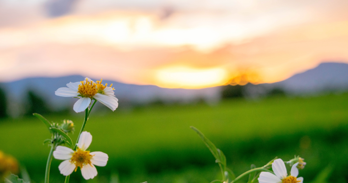 なぜ人の感情をこんなに拾ってしまうのか