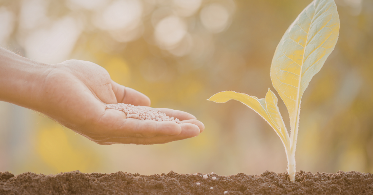 拾った感情を、少しずつ返していく